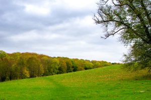Drug and Alcohol Rehab Basildon