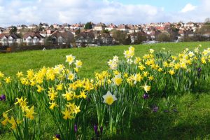 Drug and Alcohol Rehab Barnet