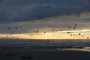 Drug and Alcohol Rehab Bootle