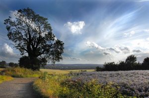 Drug and Alcohol Rehab Luton