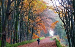 Drug and Alcohol Rehab Middleton