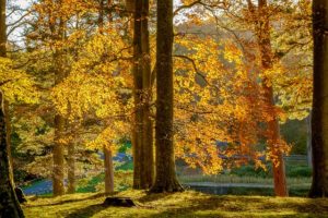 Drug and Alcohol Rehab Northumberland