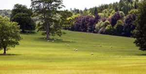 Drug and Alcohol Rehab West Sussex