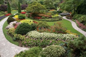 Drug And Alcohol Rehab Brentwood