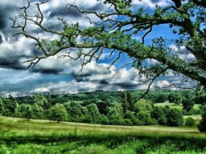 Drug And Alcohol Rehab Sevenoaks