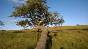 Drug and Alcohol Rehab Bathgate