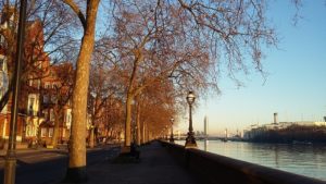 Drug and Alcohol Rehab Chelsea & Kensington