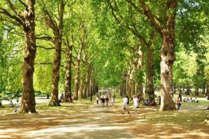 Drug and Alcohol Rehab Hounslow