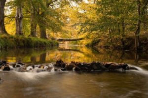 Drug and Alcohol Rehab Motherwell