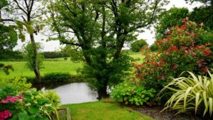 Drug and Alcohol Rehab Edgbaston 