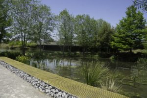 Drug and Alcohol Rehab Rubery
