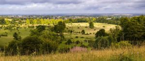 Drug and Alcohol Rehab Hertsmere
