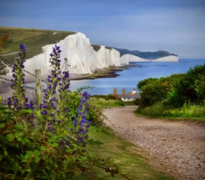 Drug and Alcohol Rehab East Sussex